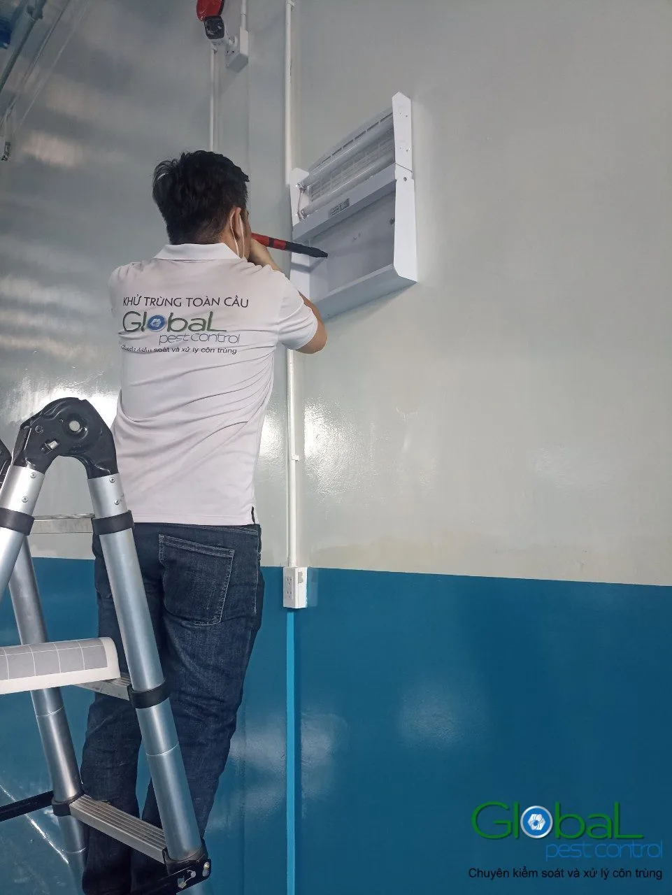 Pest Control for Factories in Vietnam