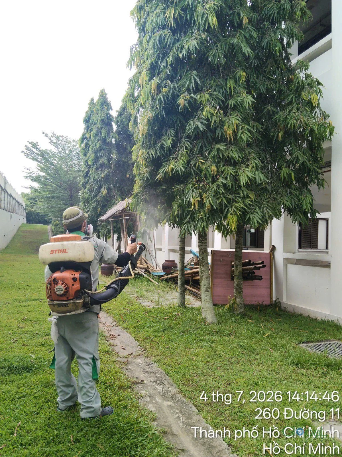A technician with a motorised sprayer treating grass under a large tree for mosquitoes