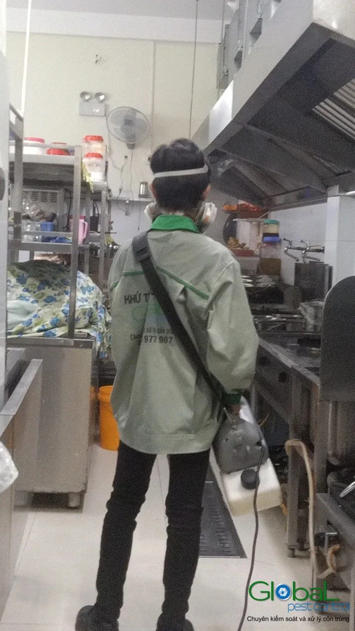 A technician treating around the stove and extractor hood of a restaurant kitchen