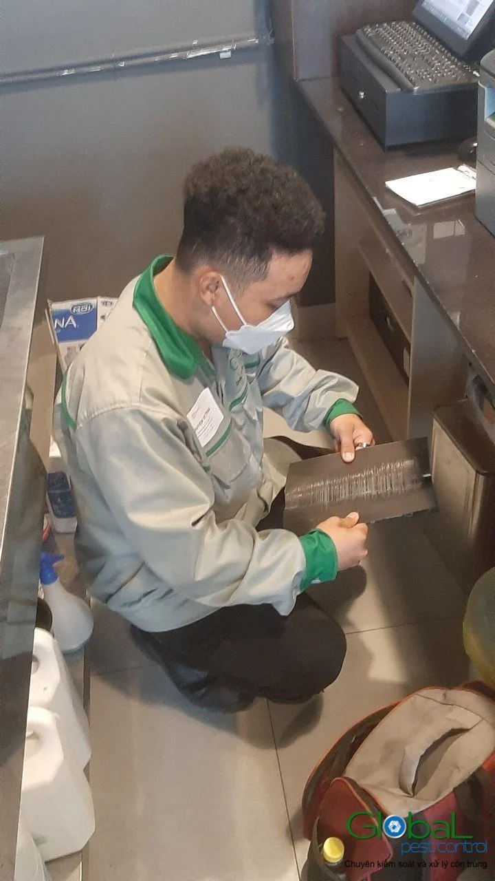 Preparing for a Food Safety Audit: The Pest Control File