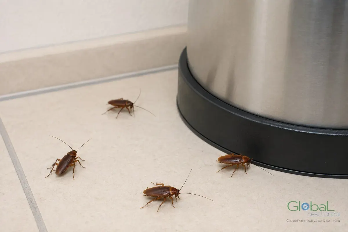 A cockroach by the leg of stainless-steel kitchen equipment