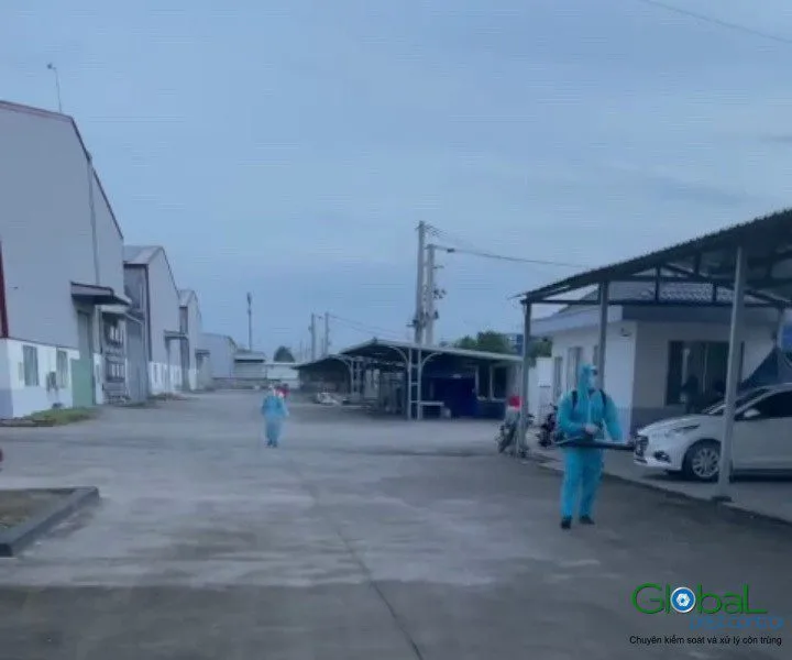 A technician treating a factory yard for mosquitoes