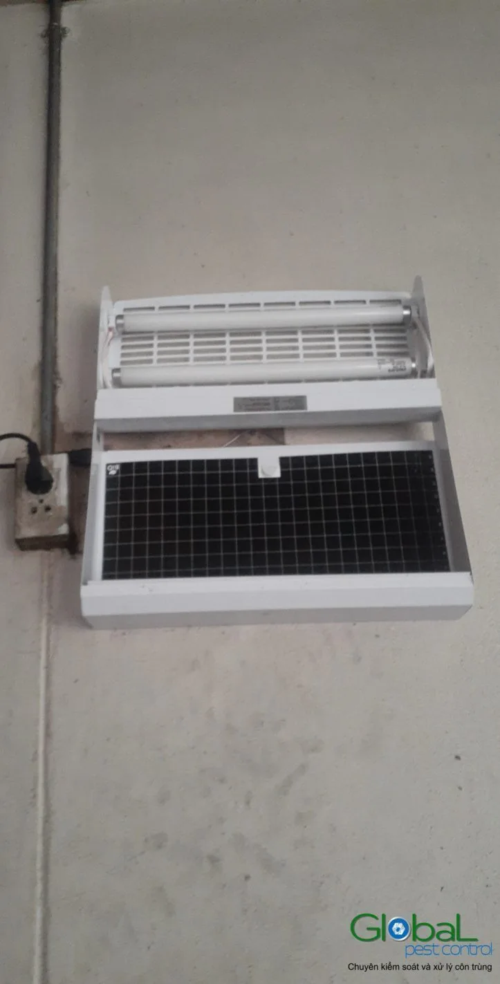 A wall-mounted fly light beside service pipes in a factory