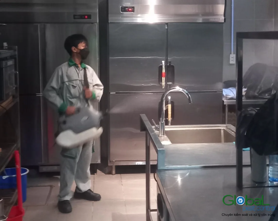 Food Safety at Home After a Kitchen Treatment