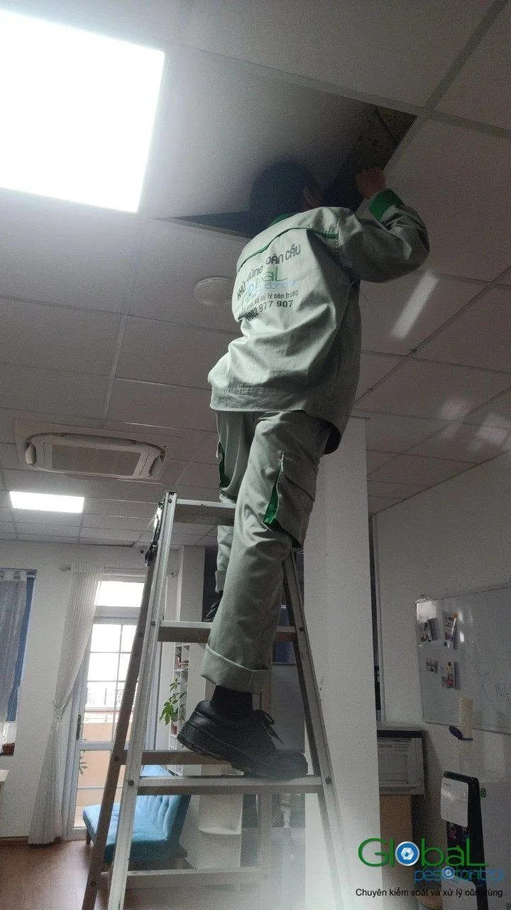 A technician on a ladder treating an office ceiling corner