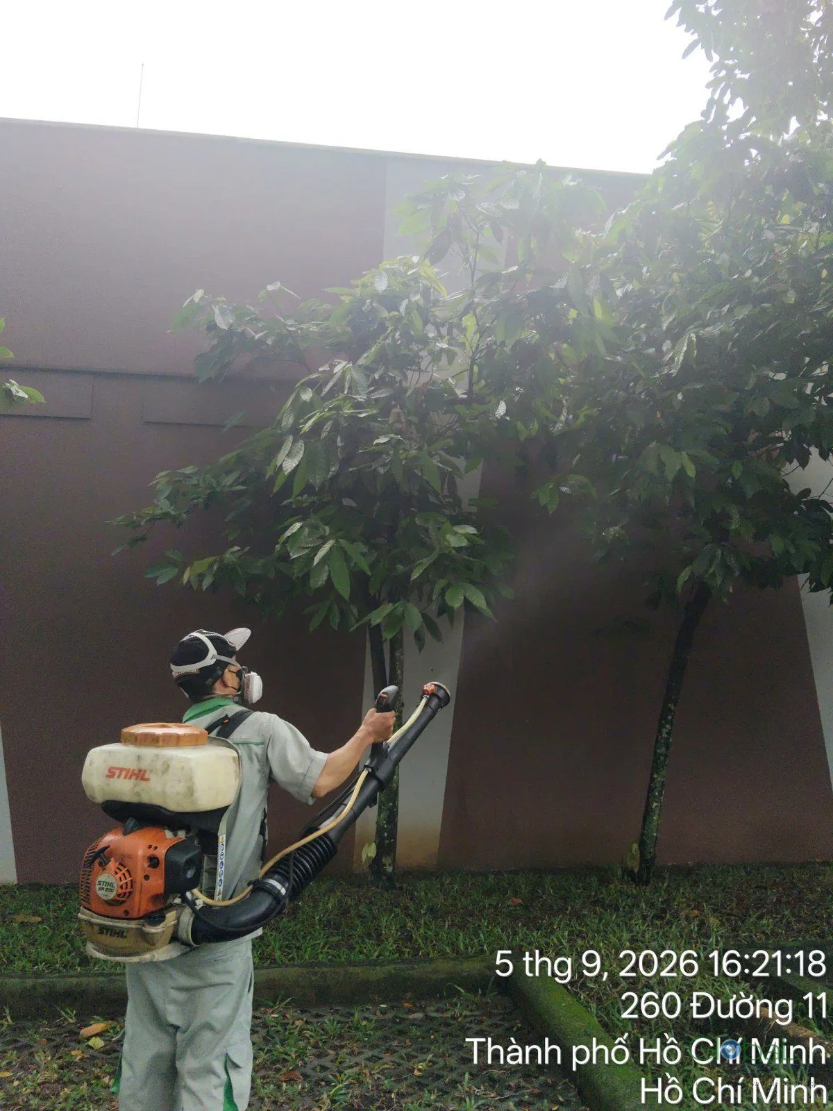 A technician with a motorised sprayer treating outdoor shrubs for mosquitoes