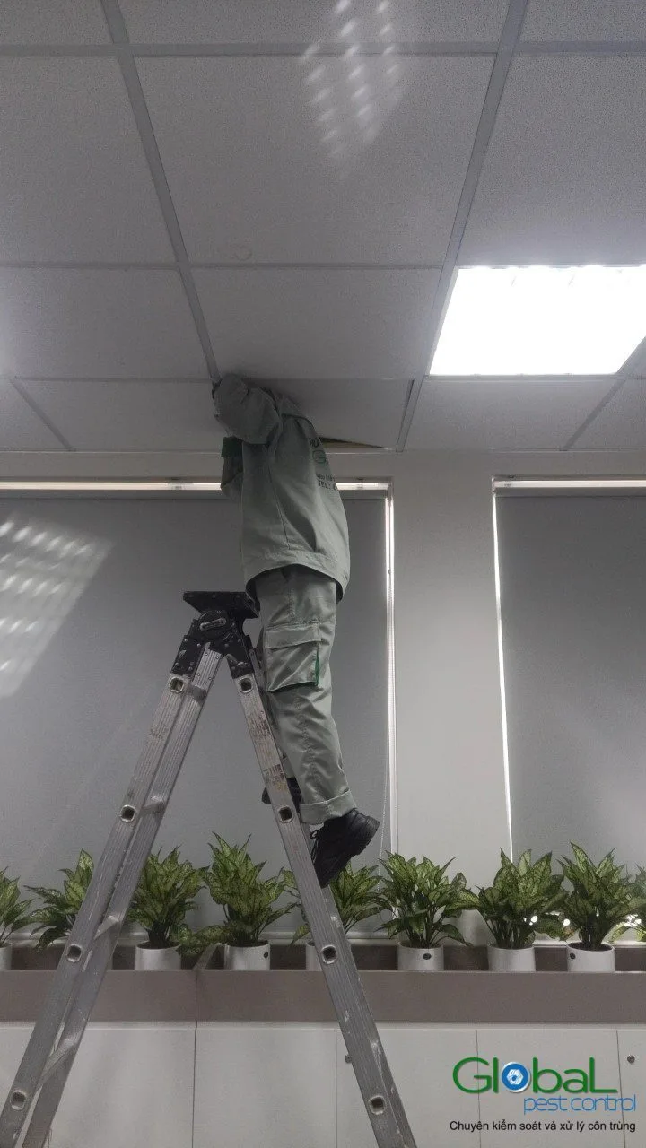 Pest Control for Coworking Spaces and Small Offices