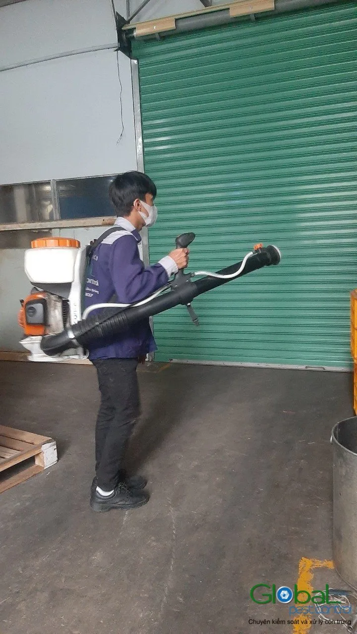How to Choose a Pest Control Company in Vietnam