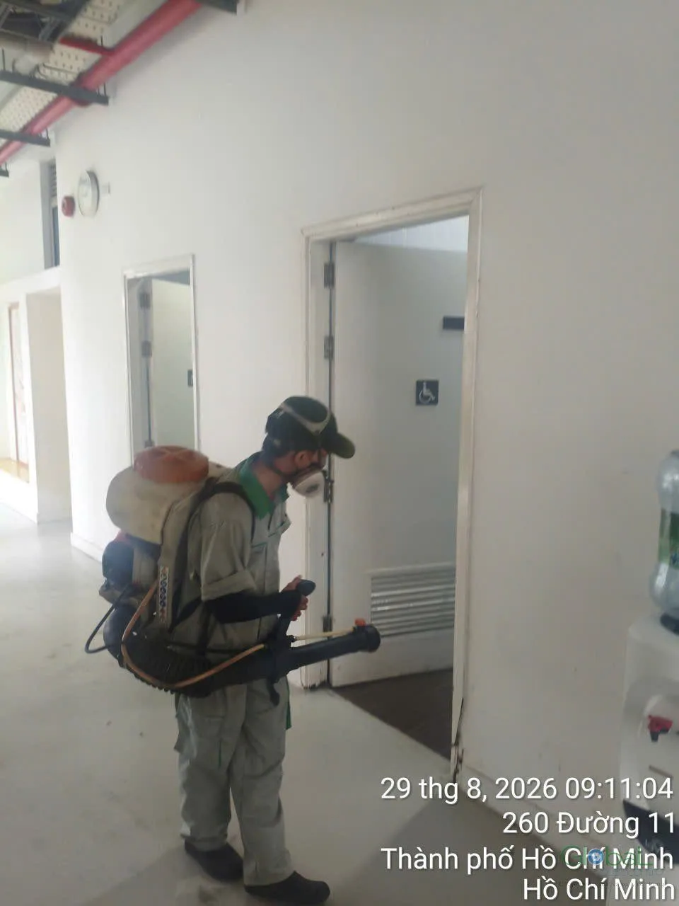 Lift Shafts, Stairwells and How Insects Move Up