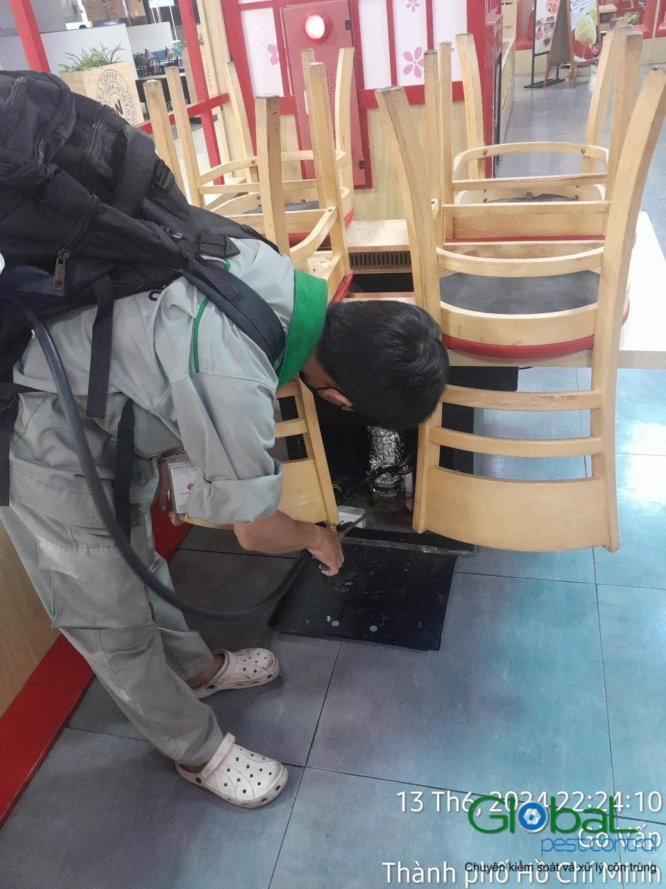 A technician treating under stacked restaurant chairs for cockroaches