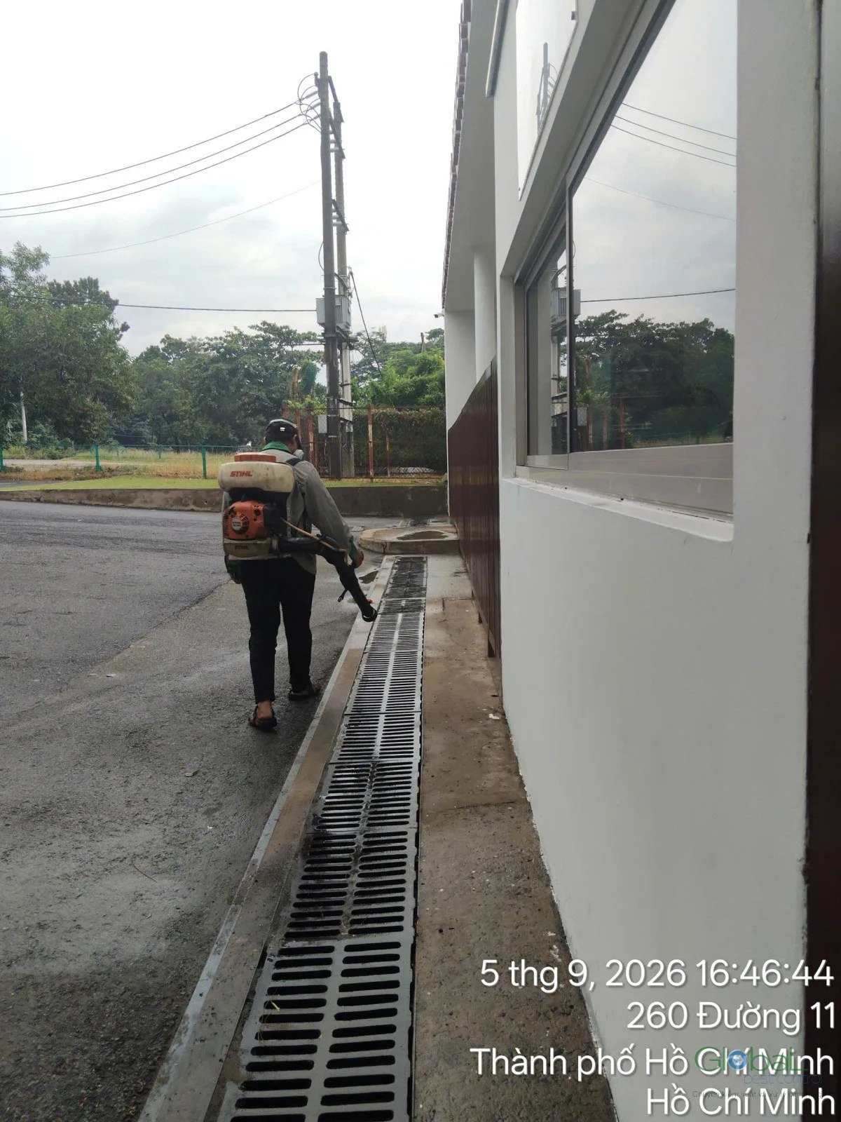 A technician treating the drain channel beside a school block