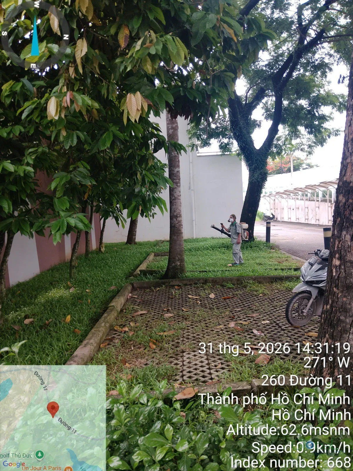 A school garden with large trees treated for mosquitoes