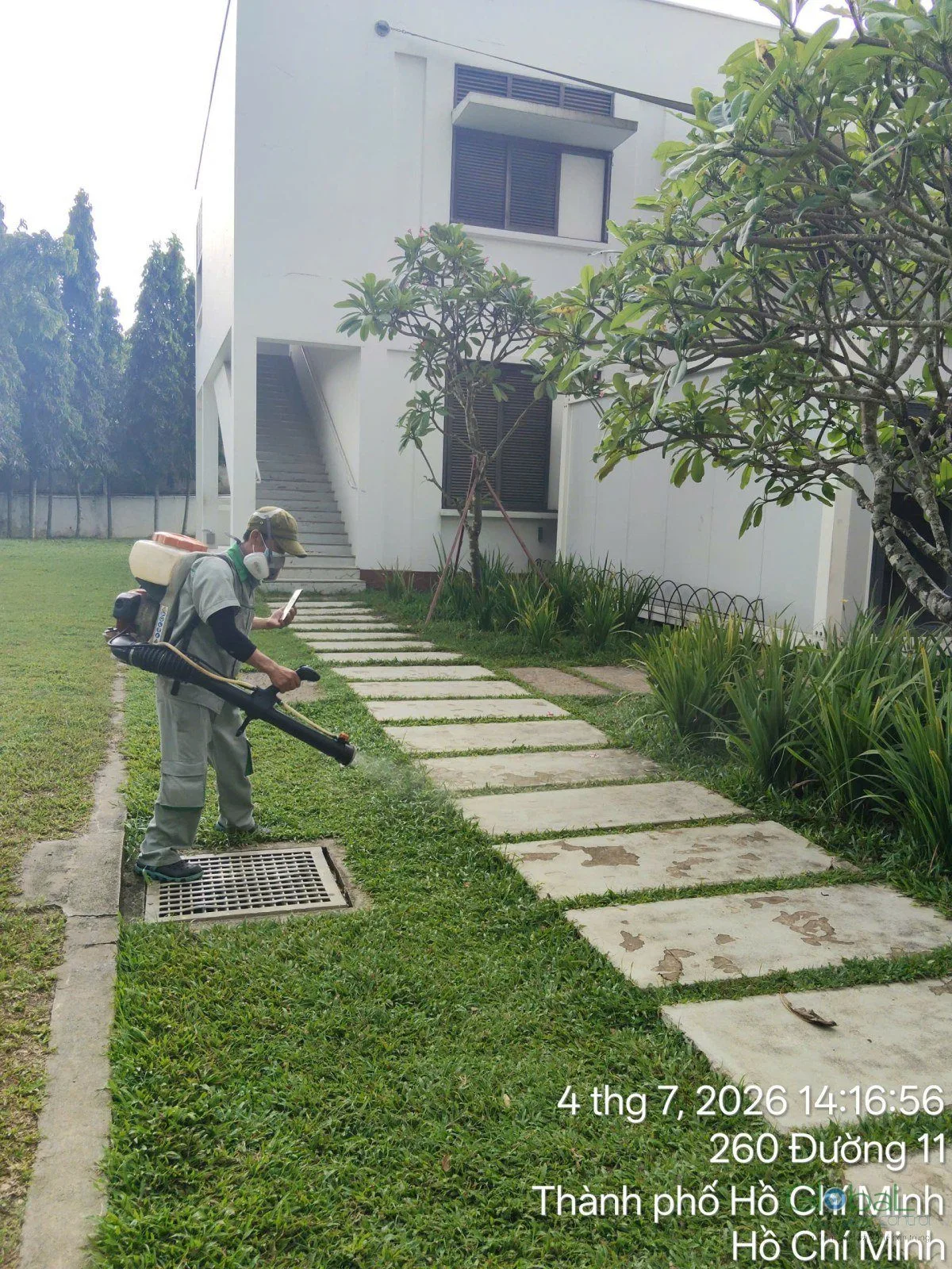 Why Activity Spikes Two Days After Heavy Rain