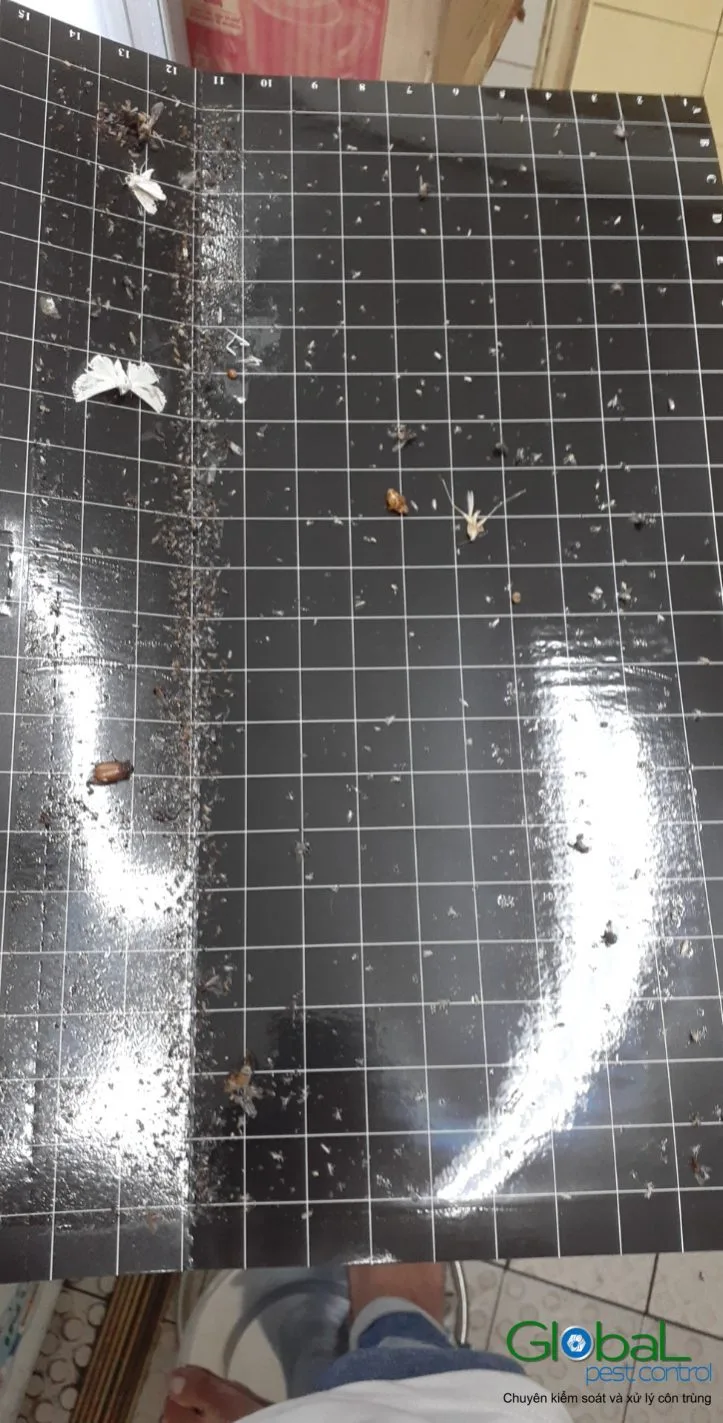 Handling a Customer Who Photographed an Insect