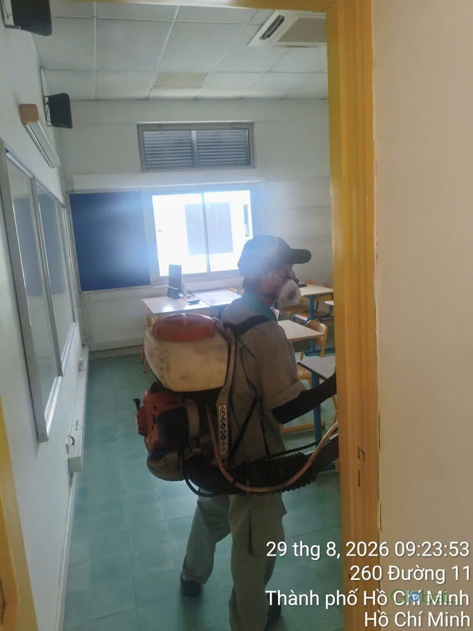 A technician with a motorised sprayer treating a classroom with windows