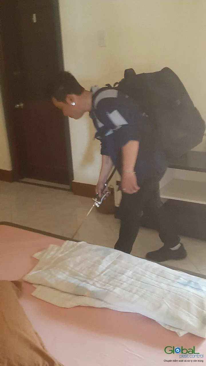 Serviced Apartments and Short Lets: Who Handles Pest Control?