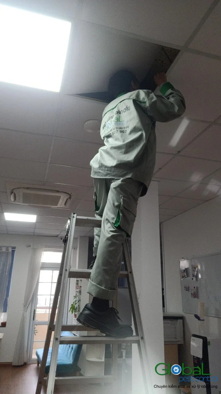 Office Pest Control in Ho Chi Minh City