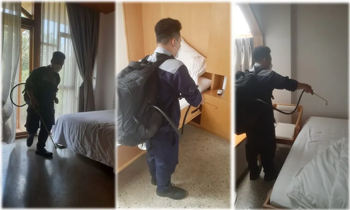 A technician treating a hotel bedroom to stop bed bugs spreading