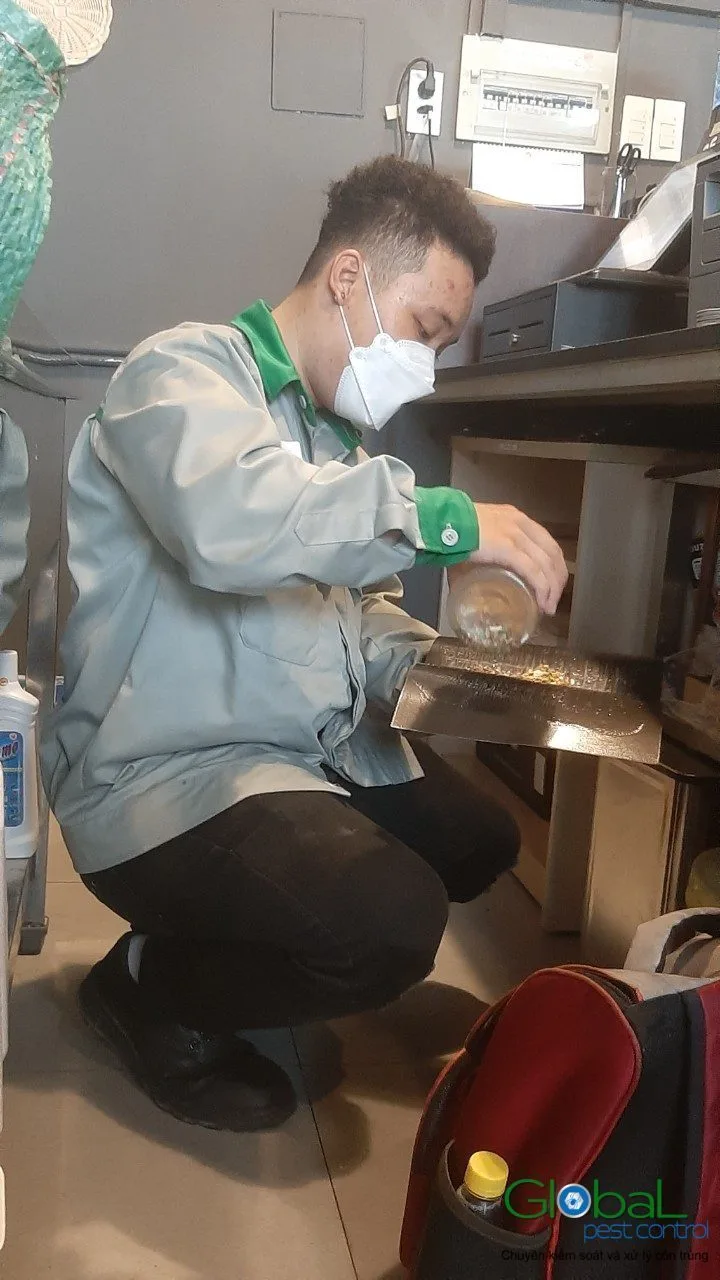 A technician crouching to check under kitchen cabinets before treatment