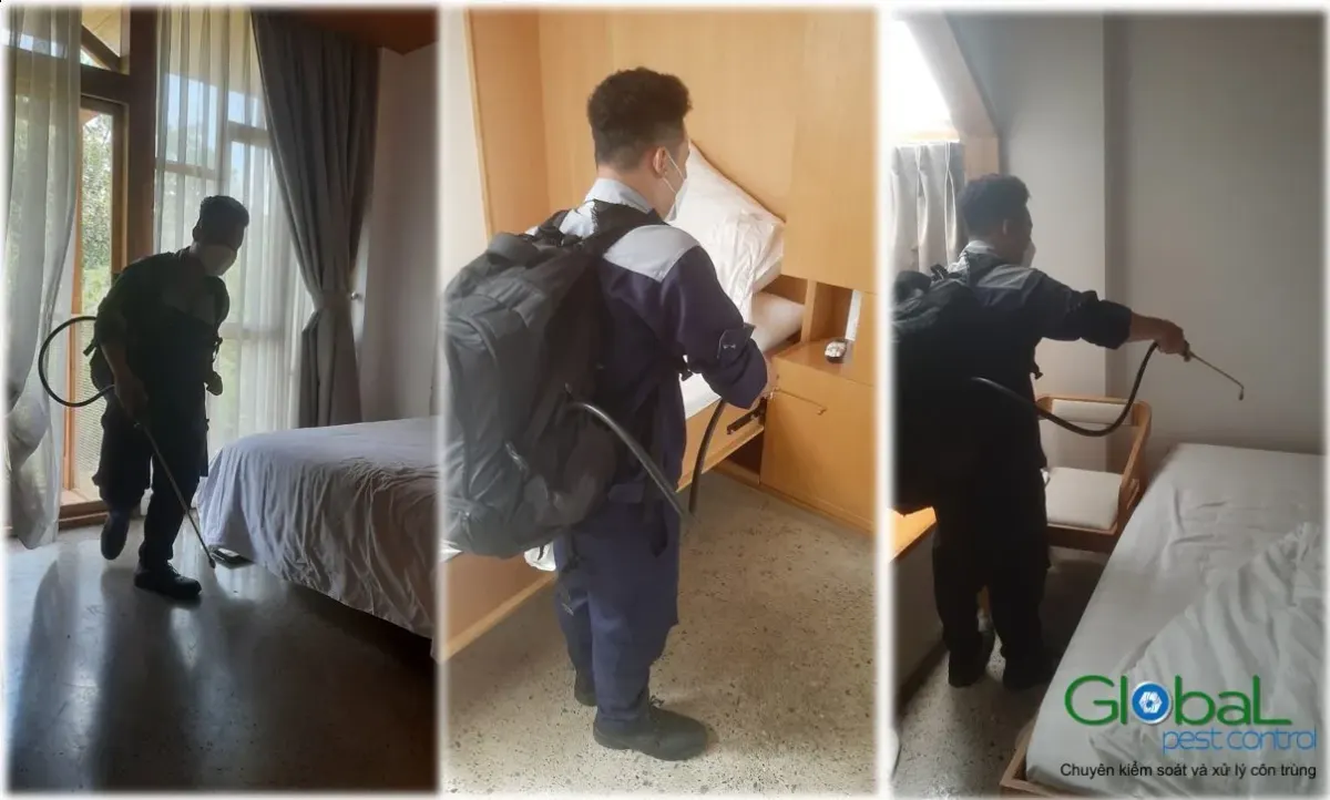 A technician treating the bedroom of a rented apartment