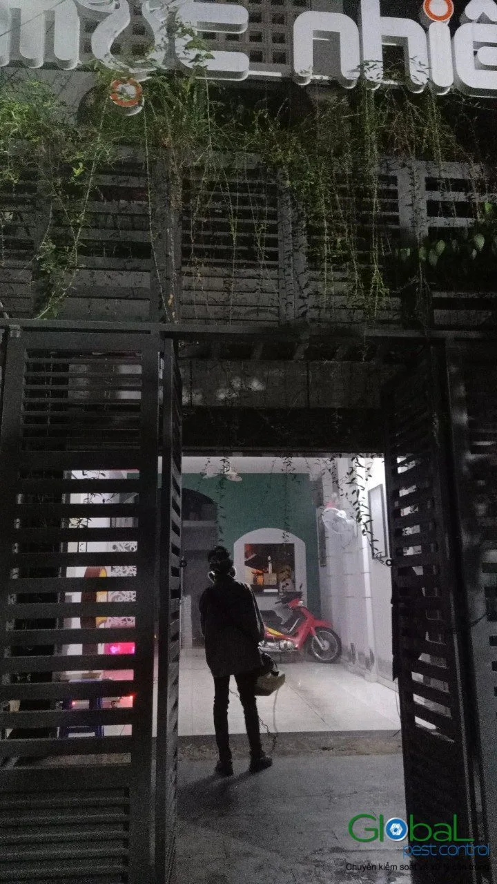 Returning After a Long Trip Away