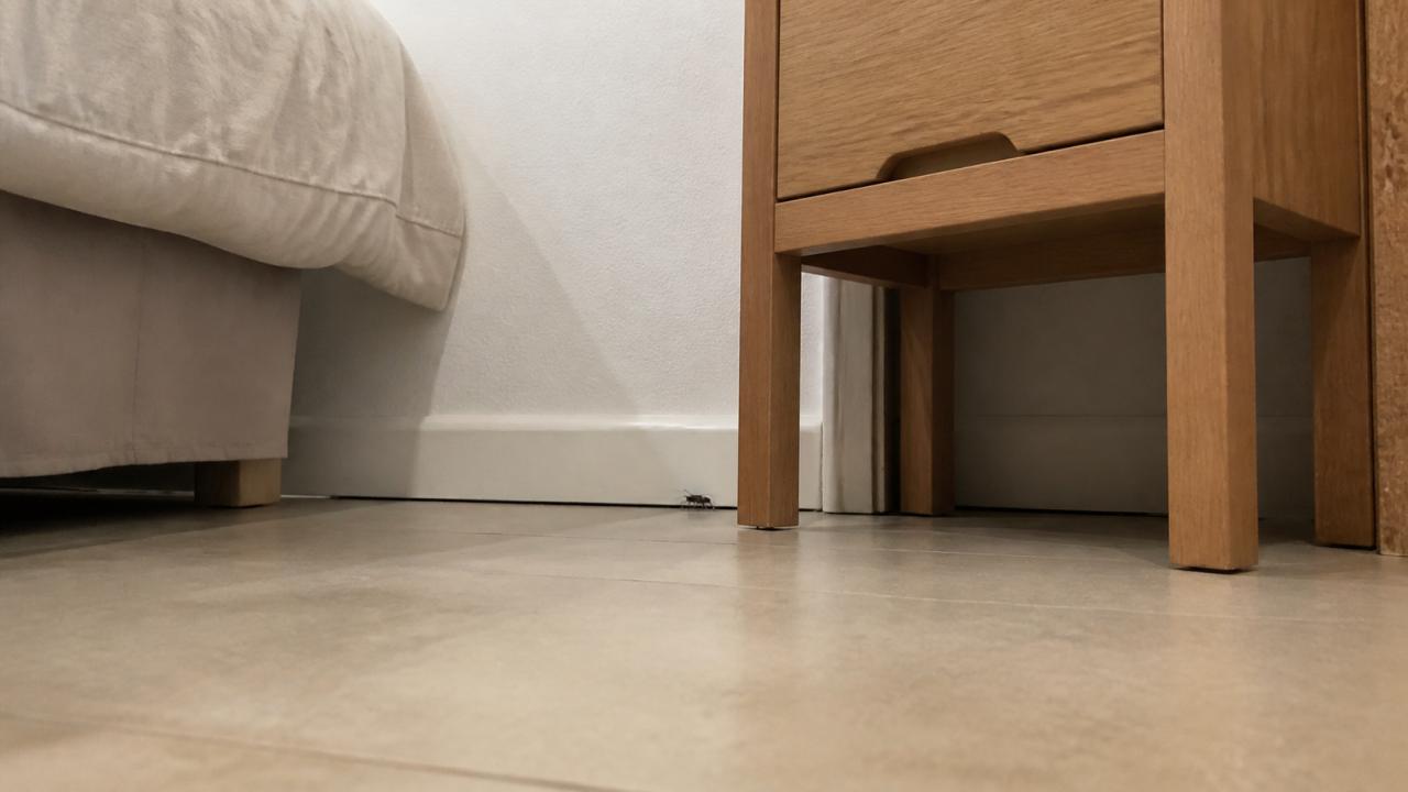 Bed Bugs in Ho Chi Minh City: Hotels, Rentals and Second-Hand Furniture