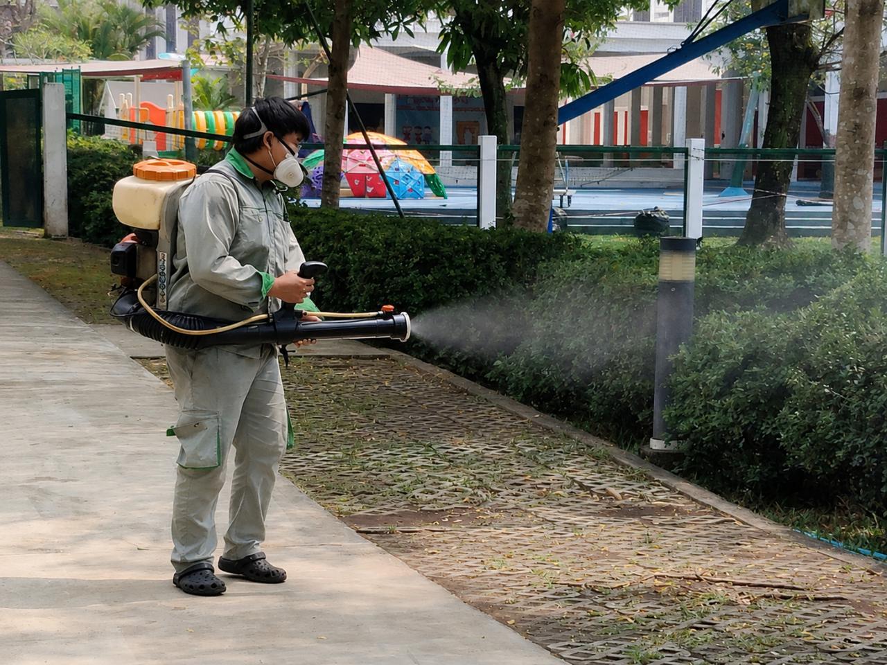 Rainy Season Pest Control in Ho Chi Minh City