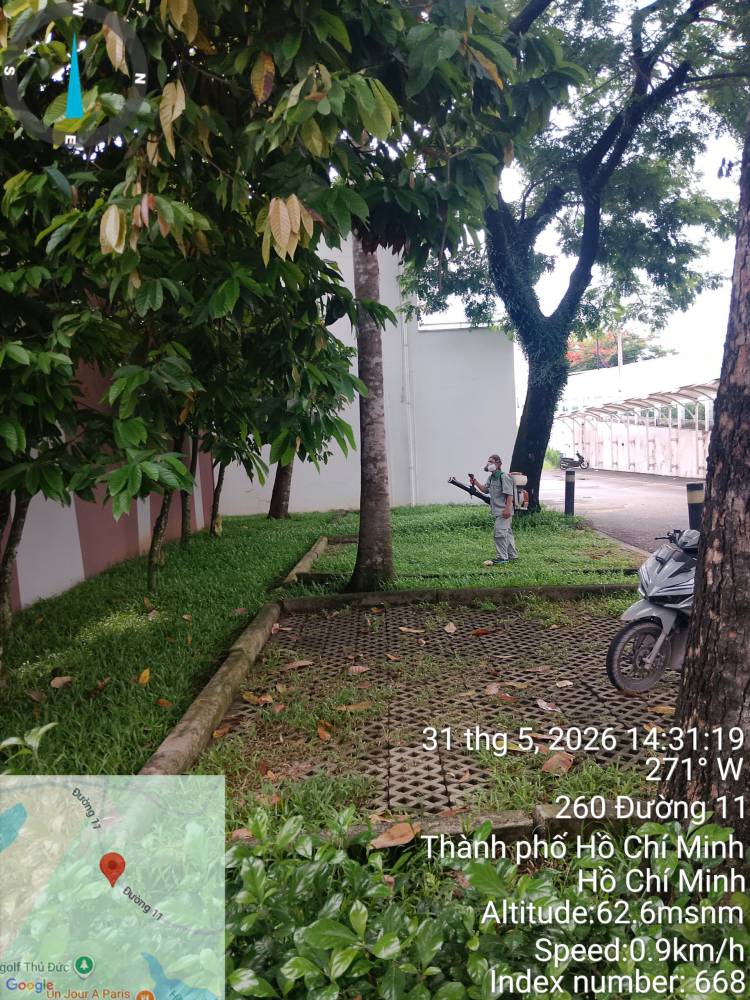Writing a Pest Clause Into a Vietnamese Lease