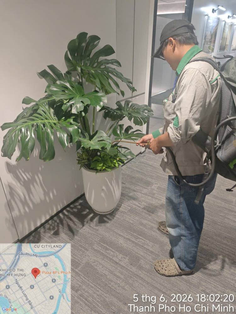 Your Housekeeper and Pest Control: What to Ask For