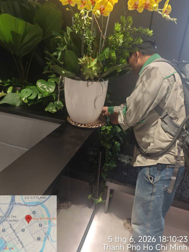 A technician treating indoor planters and pantry areas in an office