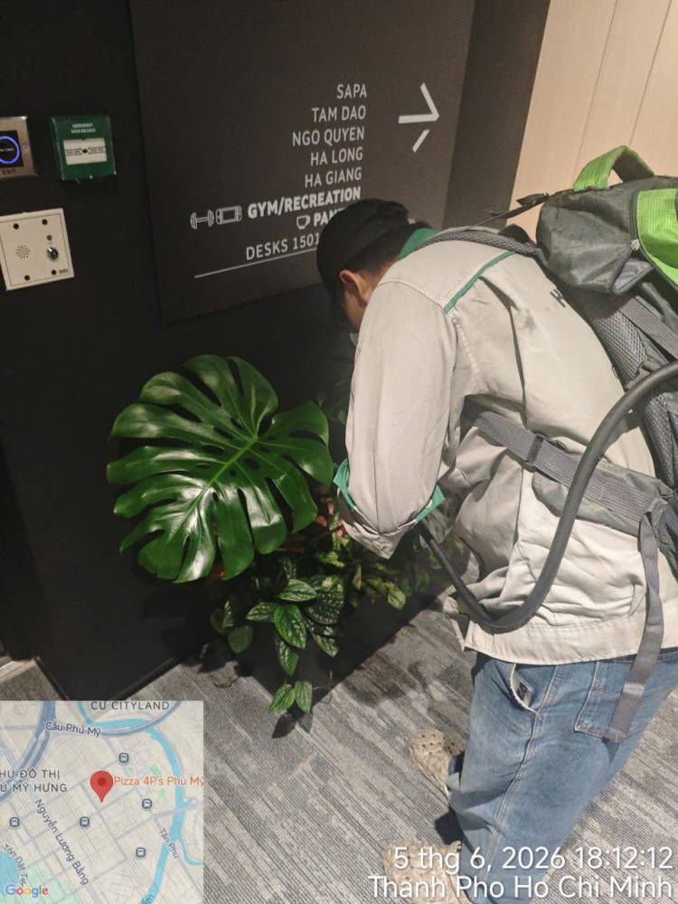A technician treating indoor planters and pantry areas in an office