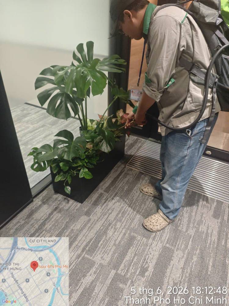 A technician treating indoor planters and pantry areas in an office