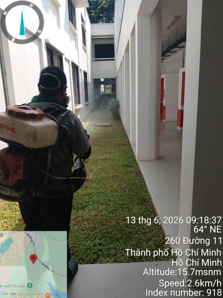 Baiting Versus Killing: Two Ideas of Success
