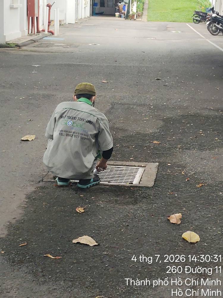 A technician treating outdoor paths, drains and planting at a school