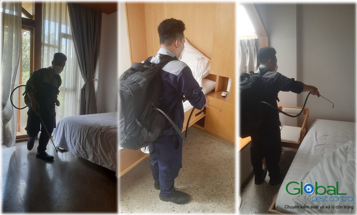 Effective Pest Control for Residential Apartments and Apartment Complexes