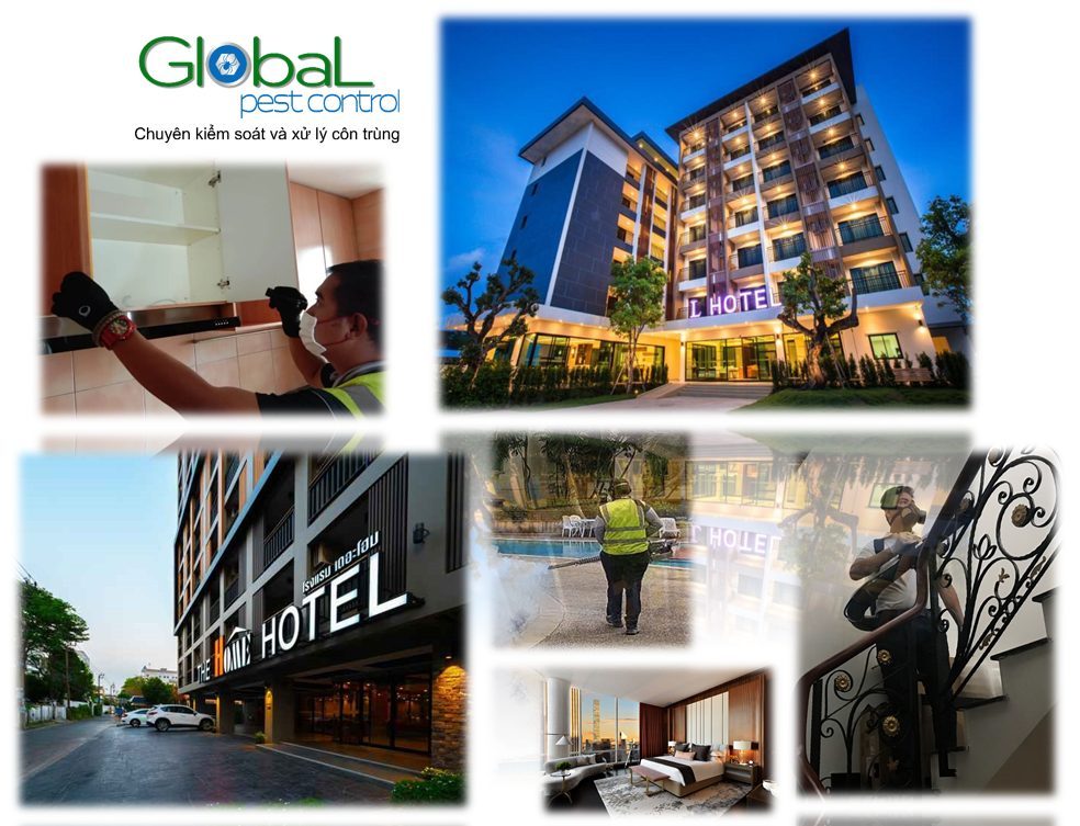 Pest control for hotels, from guest rooms to back-of-house areas