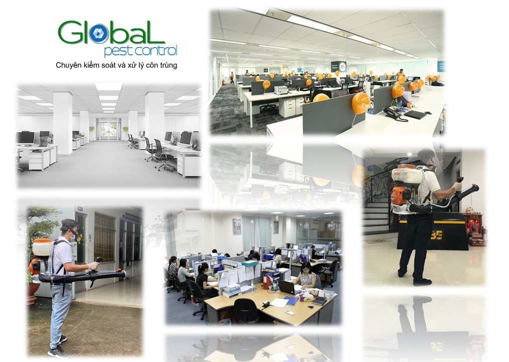 Pest control across offices, common areas and service ducts in commercial buildings