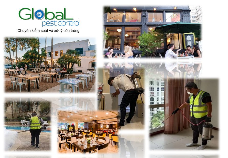 Pest control for restaurants, cafés and commercial kitchens