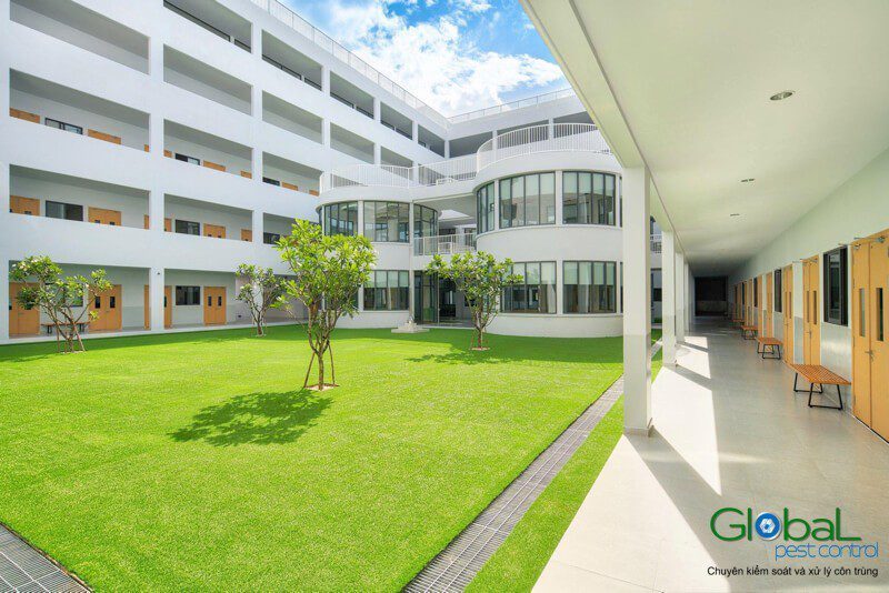Pest control for schools and training centres