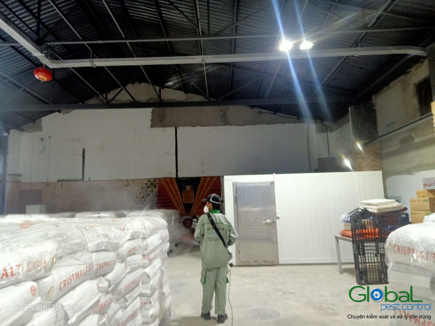 Global Pest Control: Effective Pest Control for Every Space