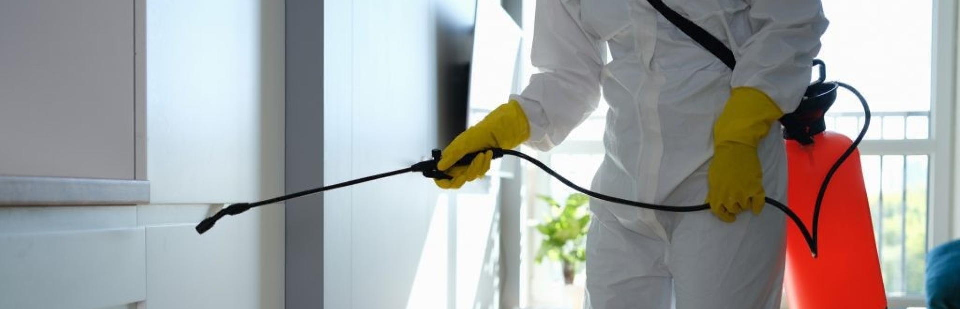 Global Pest Control: Your Partner in Pest Prevention